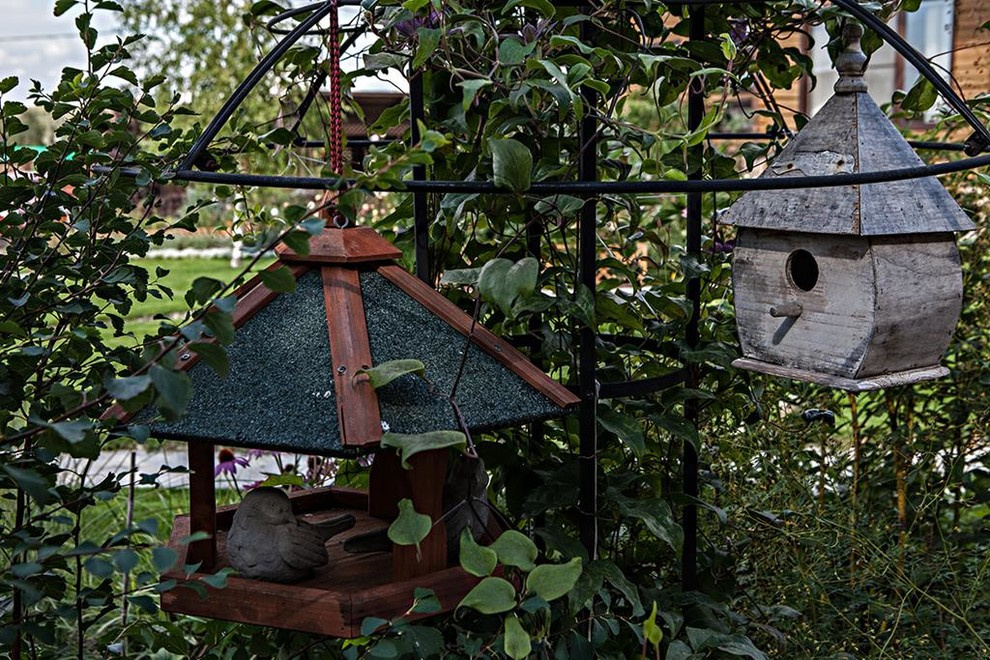 Ландшафт в загородном доме