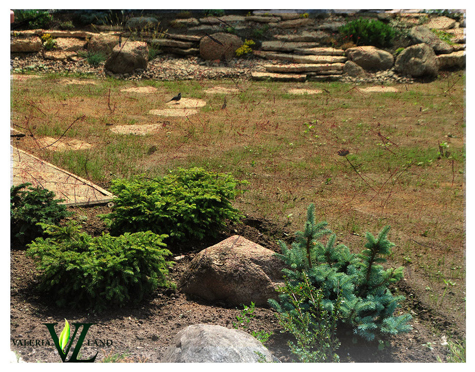 Реализованные проекты