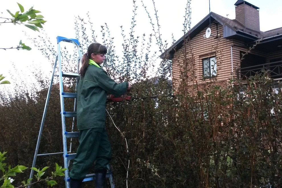 "Теплый ветерок"