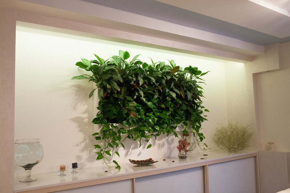 разноцветное счастье