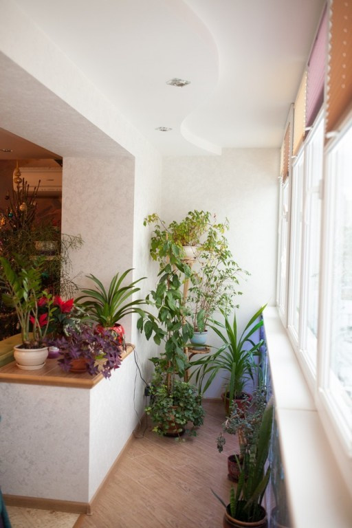 разноцветное счастье