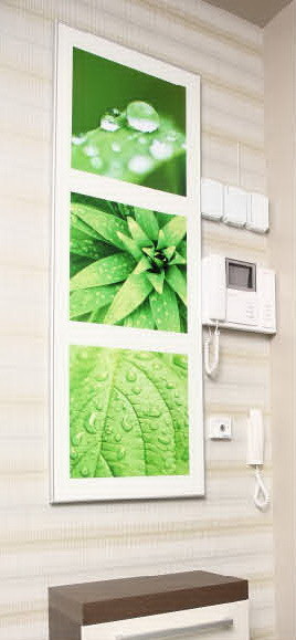 Квартира на Толстого