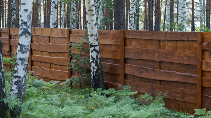 забор из необрезной доски