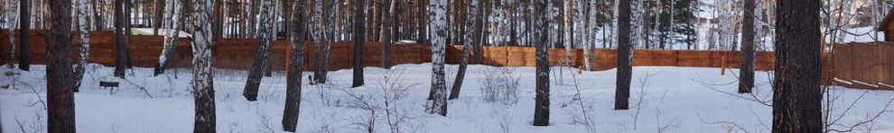 забор из необрезной доски