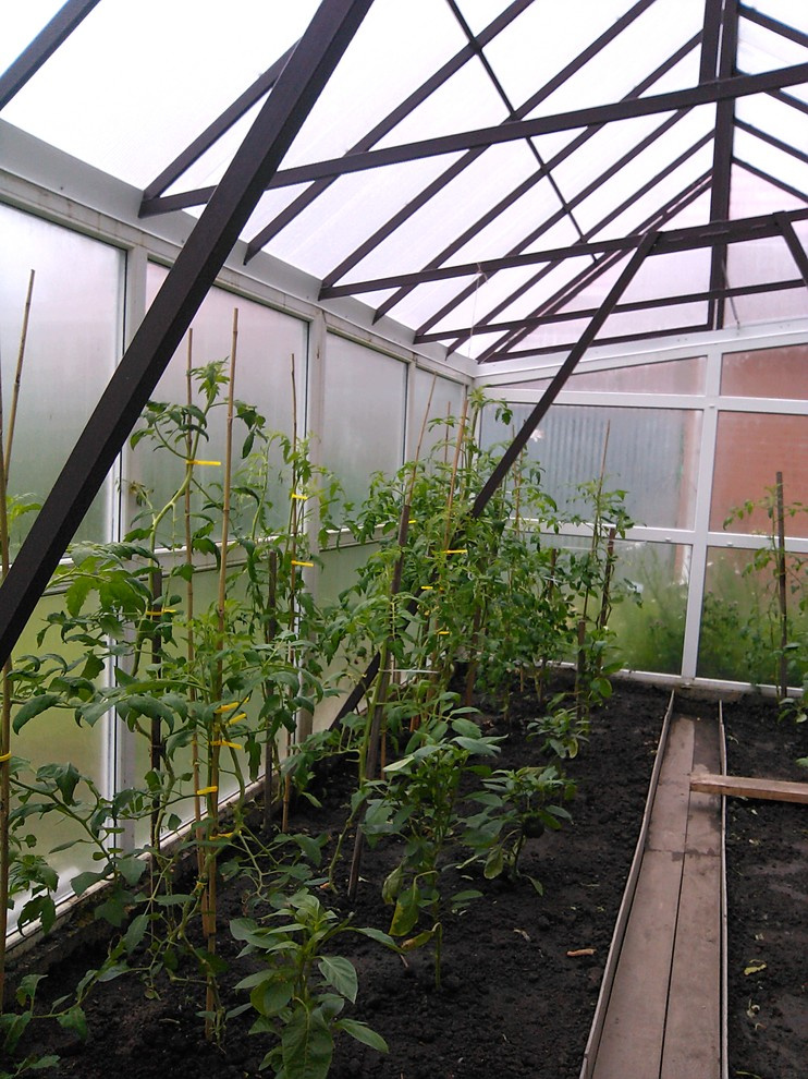 эко агротехника