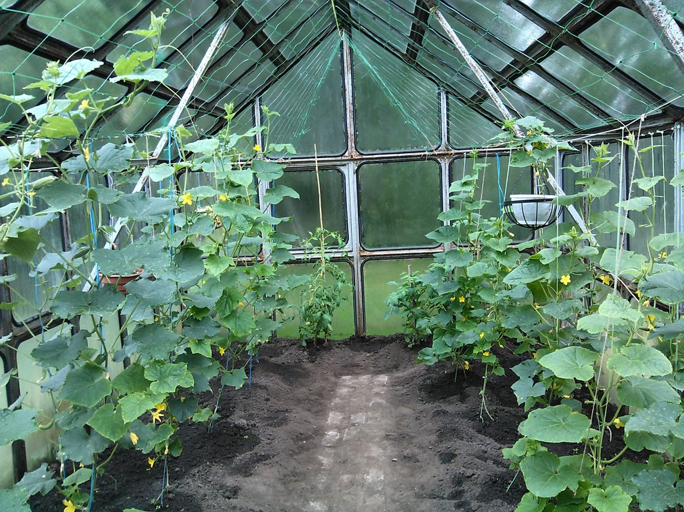 эко агротехника