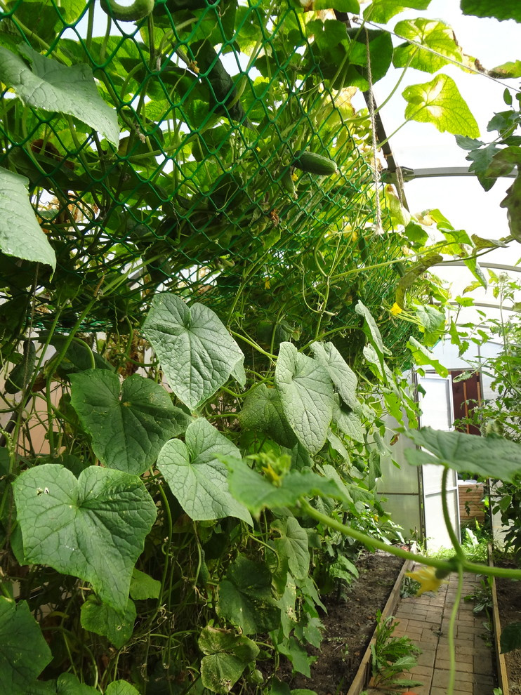 эко агротехника