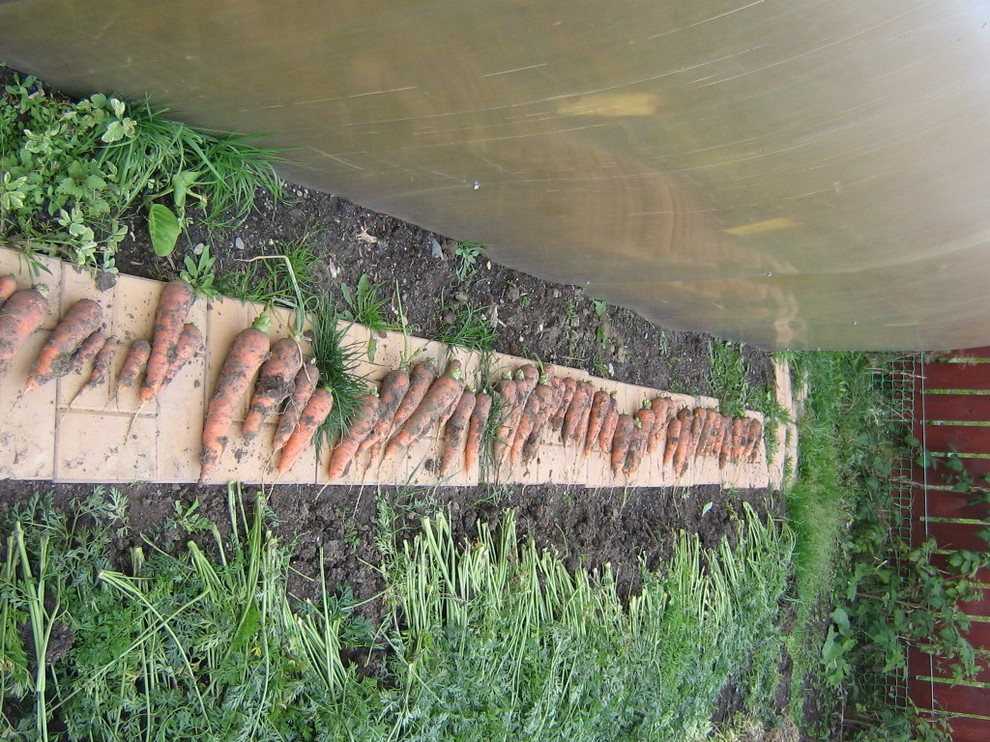 эко агротехника