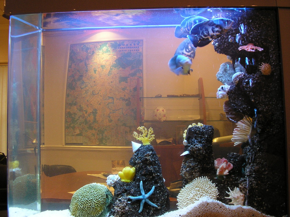 Аквариумы