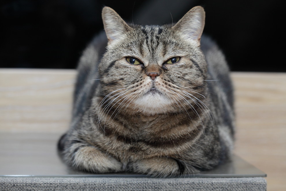 Квартира на Московской