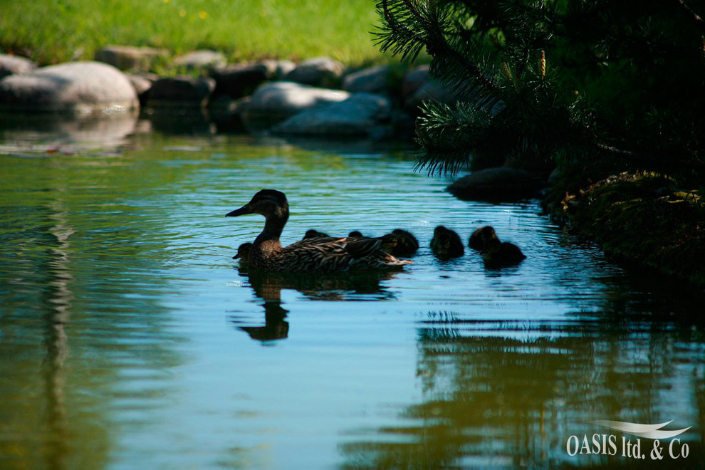 Сосново. Сад четырёх стихий