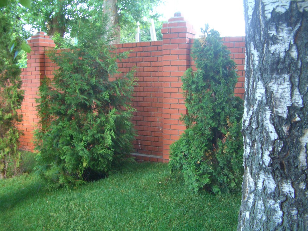 наши работы