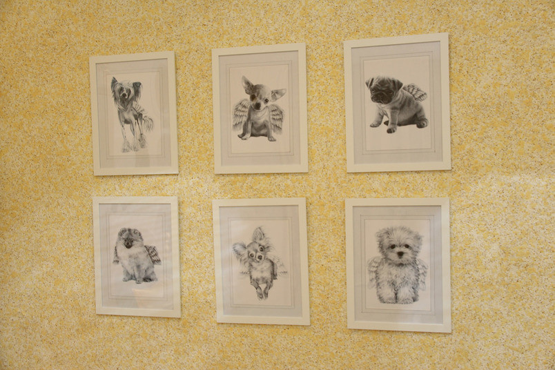 Жидкие обои