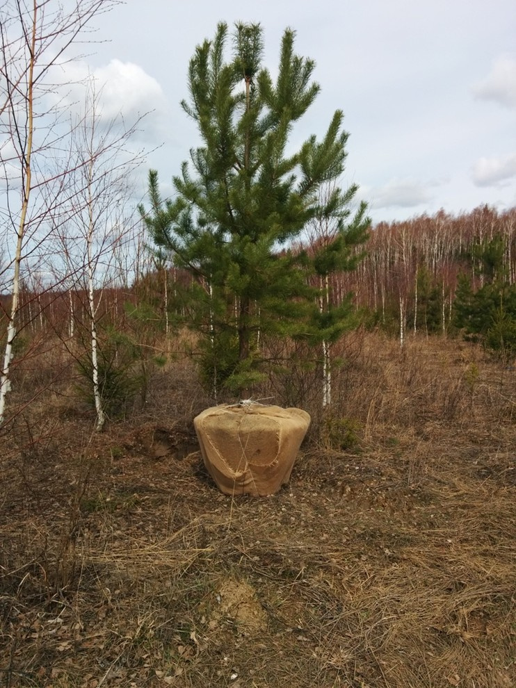 работы