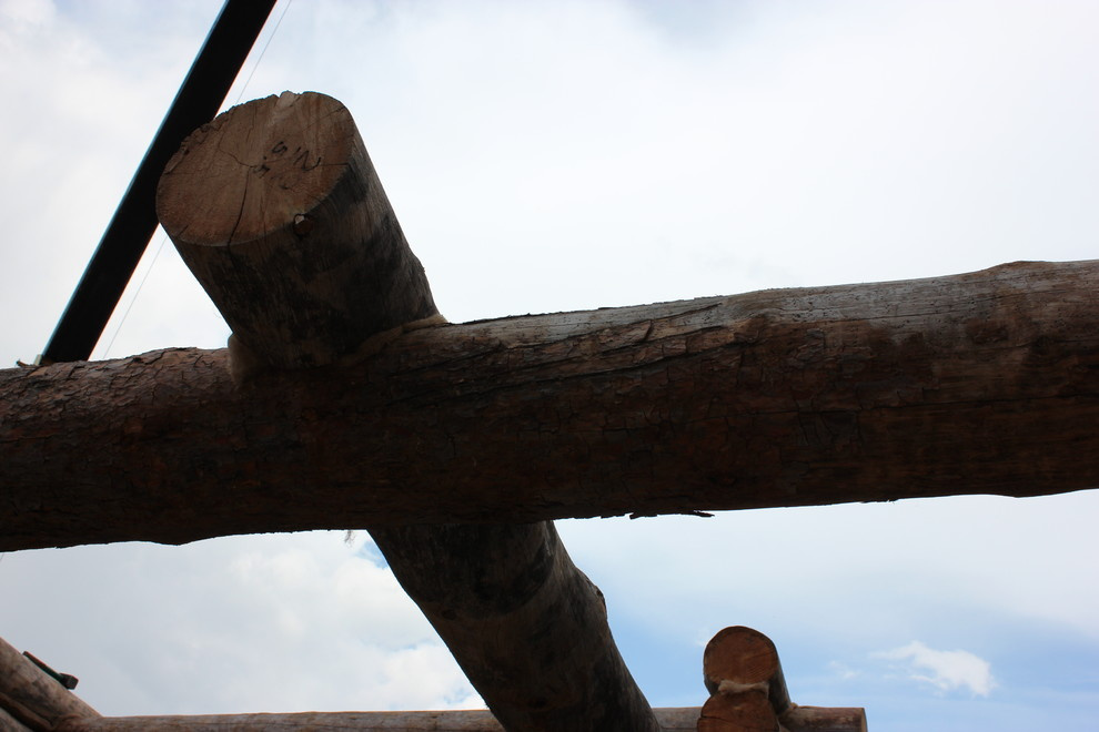 Дом с тотемом медведя