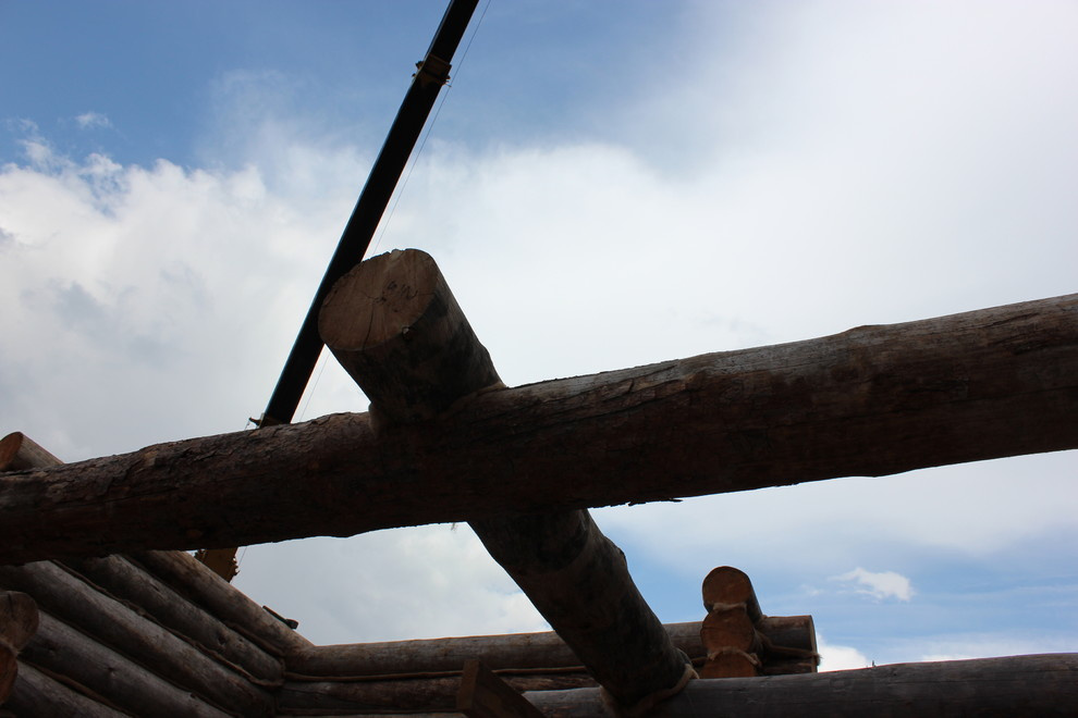 Дом с тотемом медведя