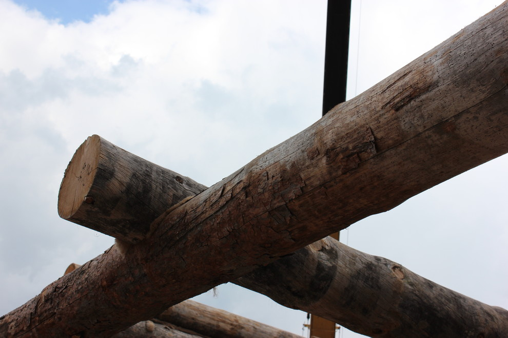 Дом с тотемом медведя