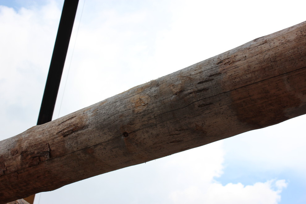 Дом с тотемом медведя