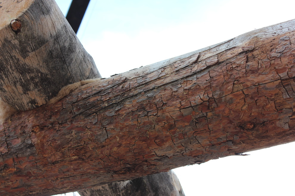 Дом с тотемом медведя