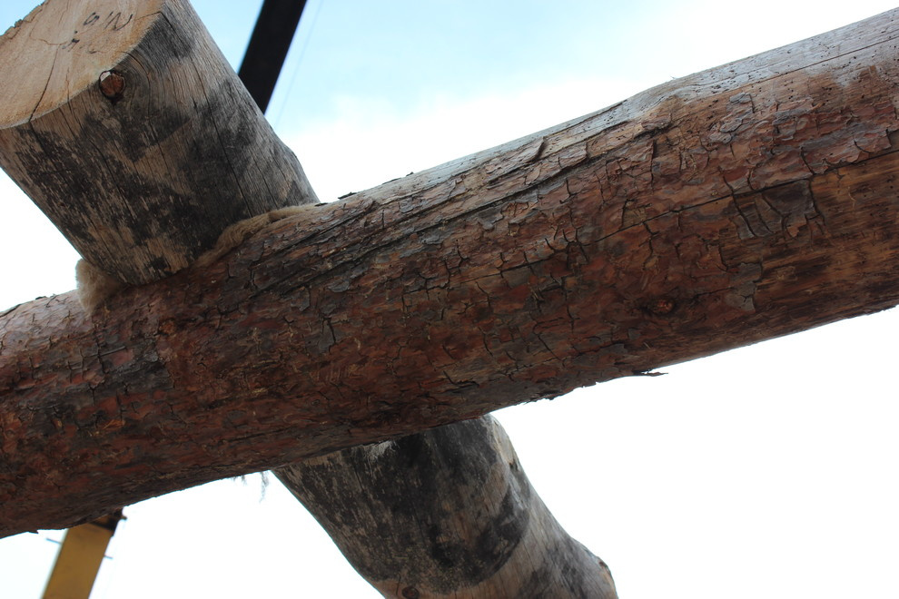 Дом с тотемом медведя