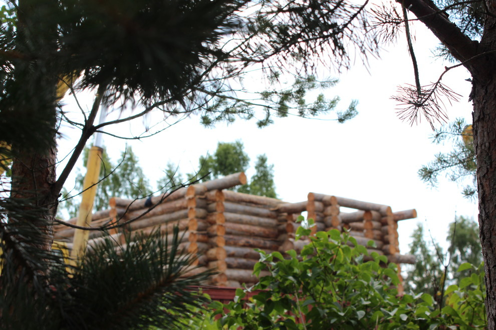 Дом с тотемом медведя