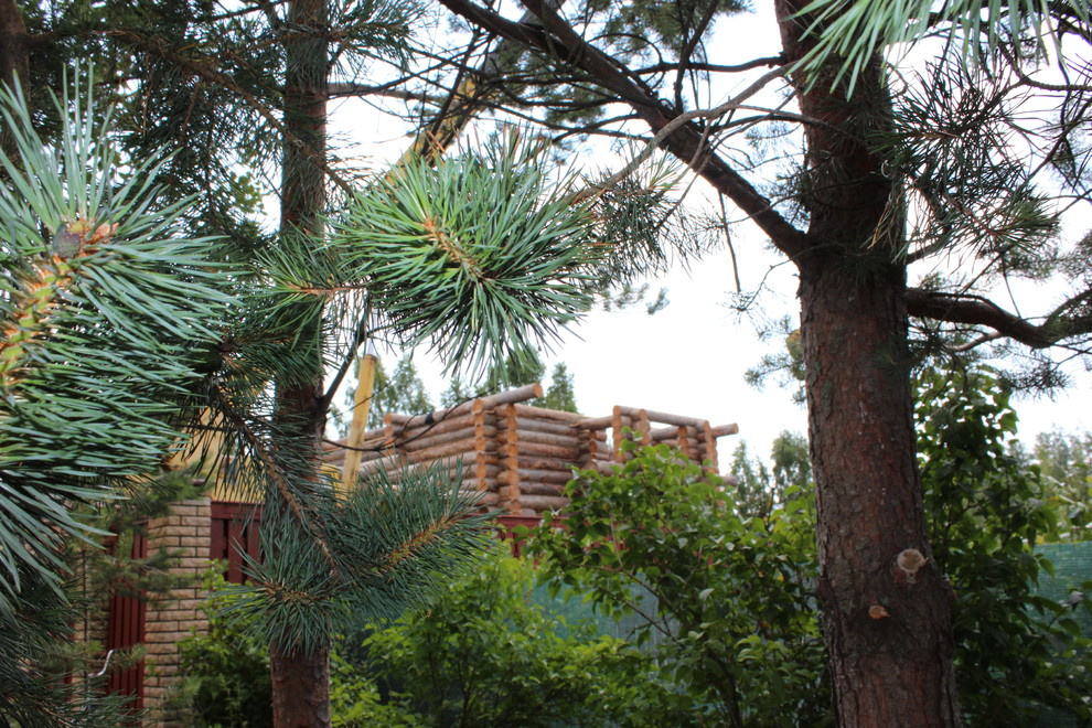 Дом с тотемом медведя