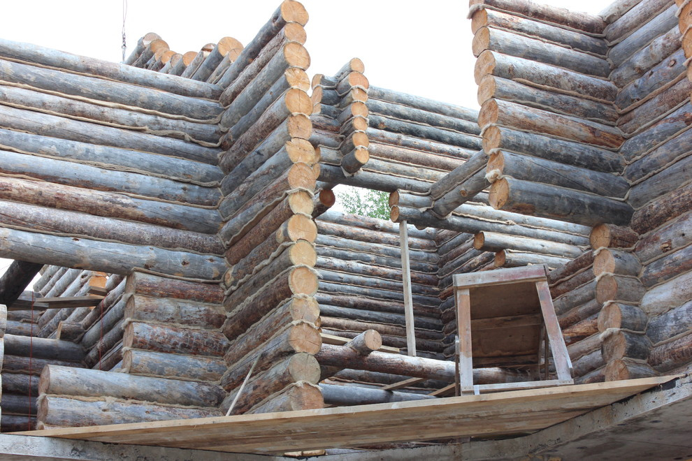 Дом с тотемом медведя