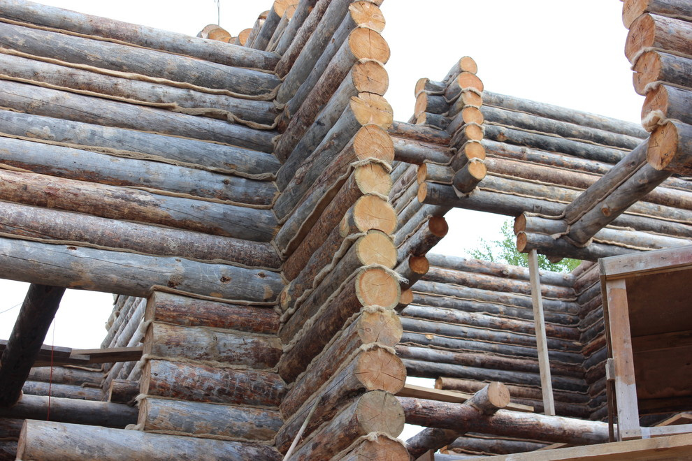 Дом с тотемом медведя