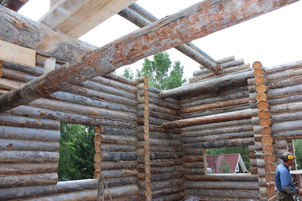 Дом с тотемом медведя