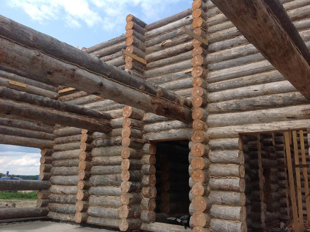 Самая большая баня из Сухостойной сосны Кело.