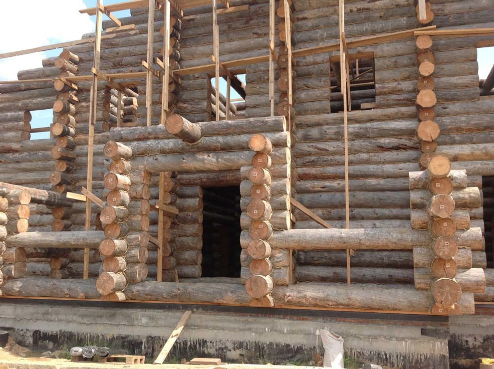 Самая большая баня из Сухостойной сосны Кело.