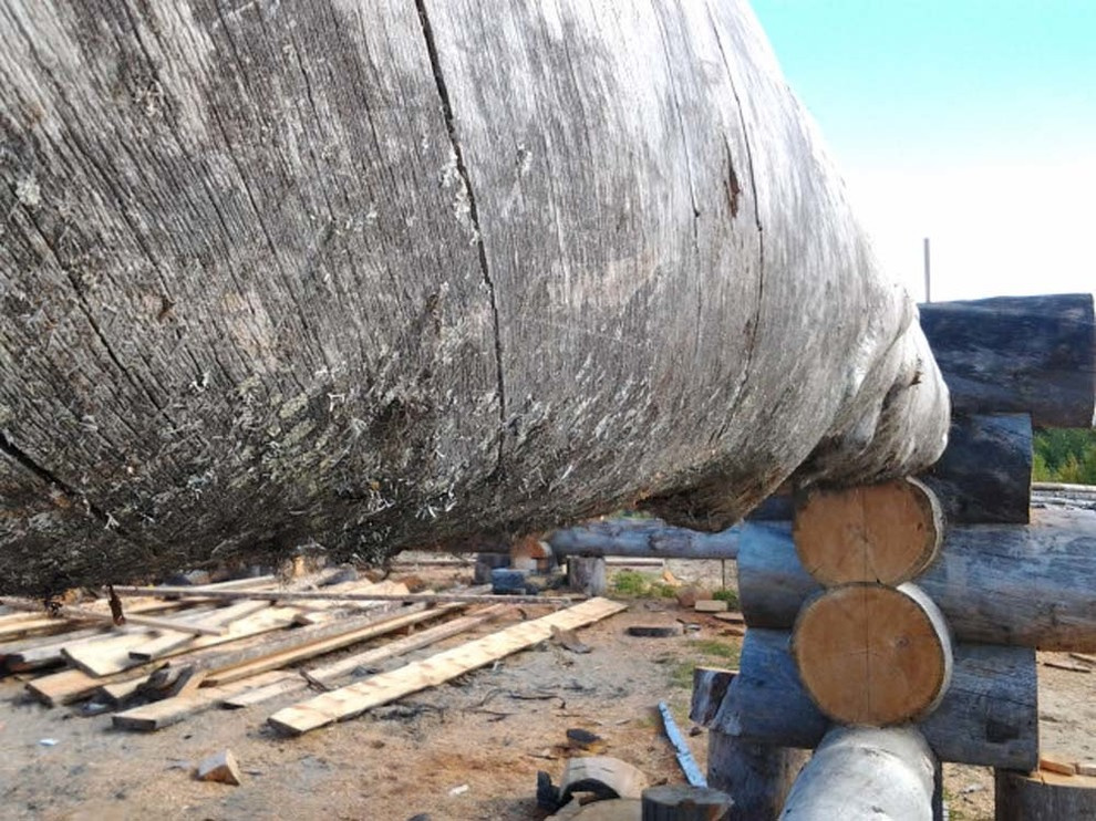 Самая большая баня из Сухостойной сосны Кело.