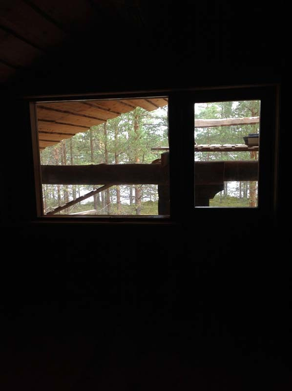 Карелия, лесной хутор на озере