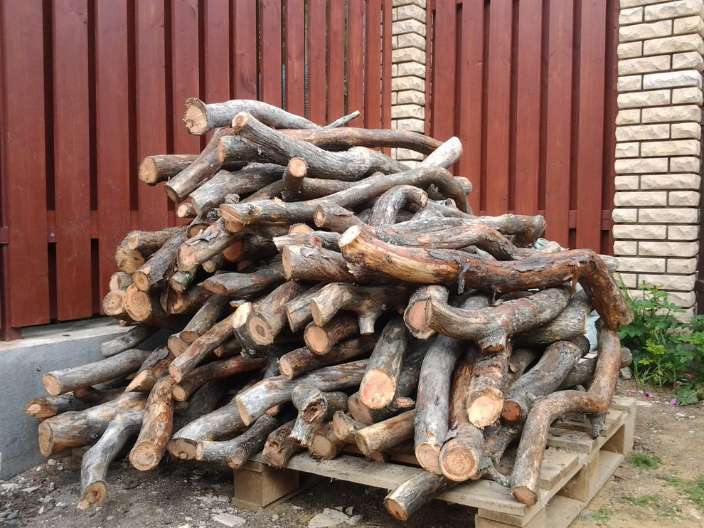 Дом с тотемом медведя