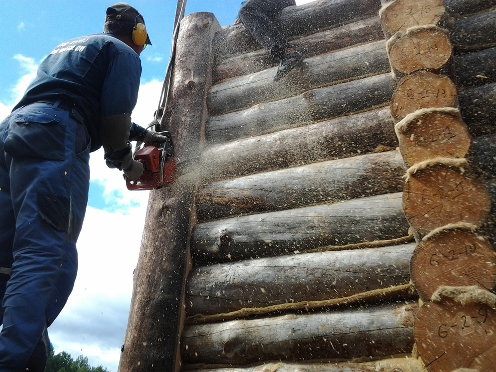 Дом с тотемом медведя