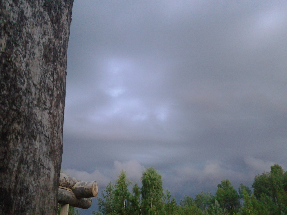 Дом с тотемом медведя