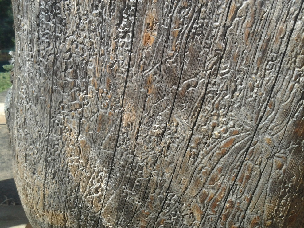 Дом с тотемом медведя