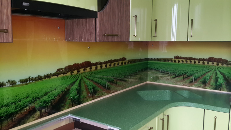 Кухонный фартук из стекла (тематика: природа)