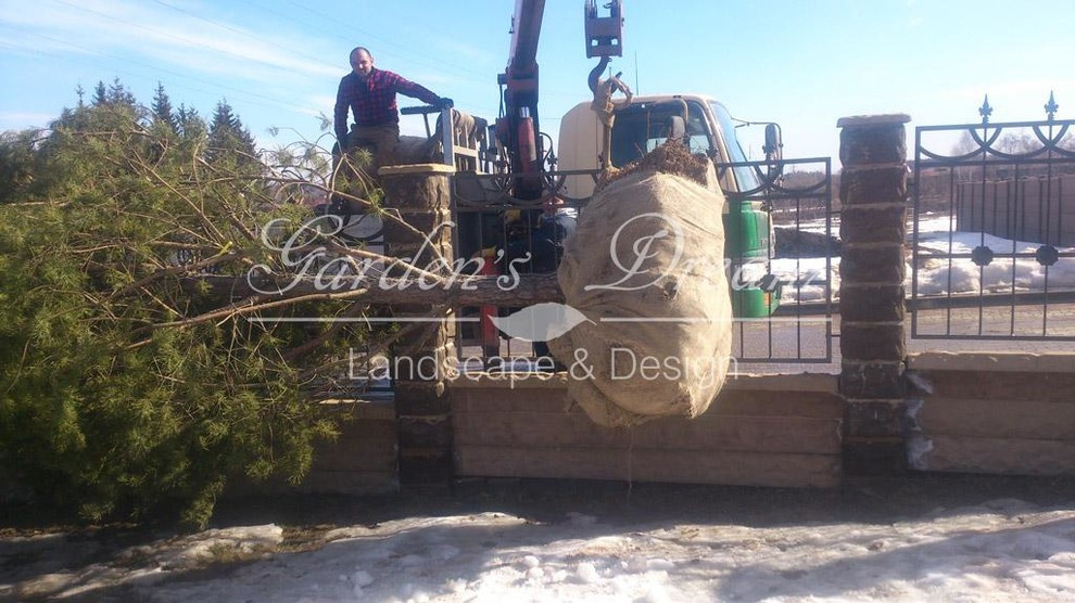 Посадка крупномеров в КП «Гайд Парк»