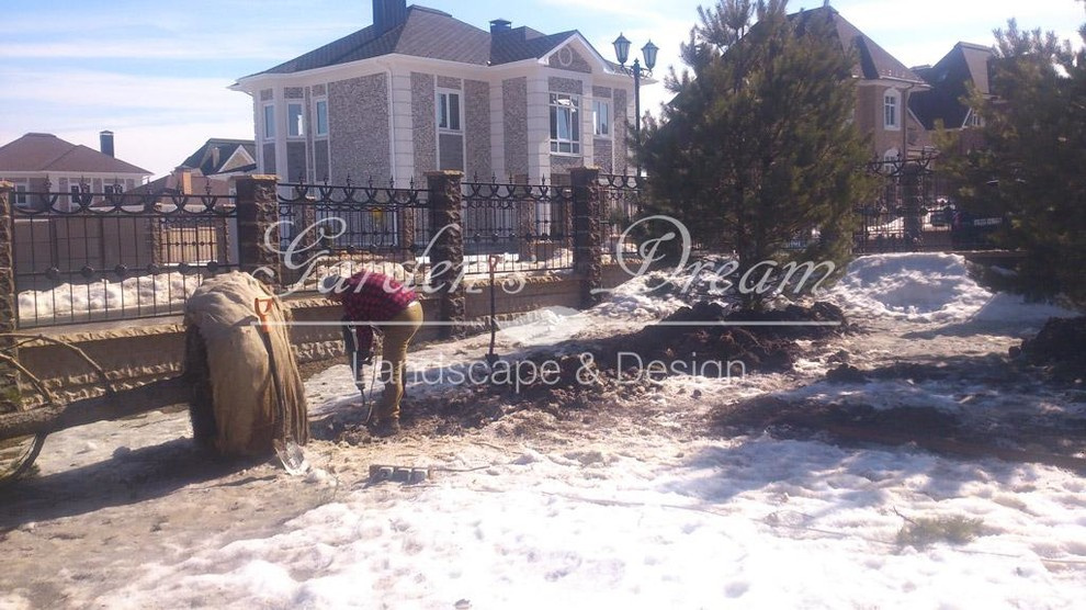 Обложка проекта: Посадка крупномеров в КП «Гайд Парк»