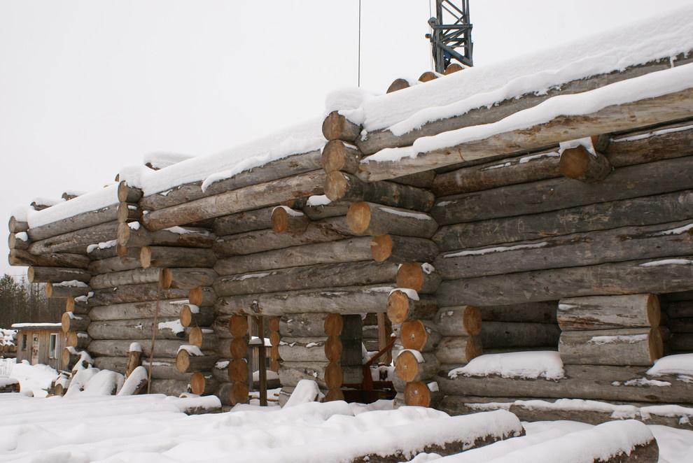 Дом из сосны kelo