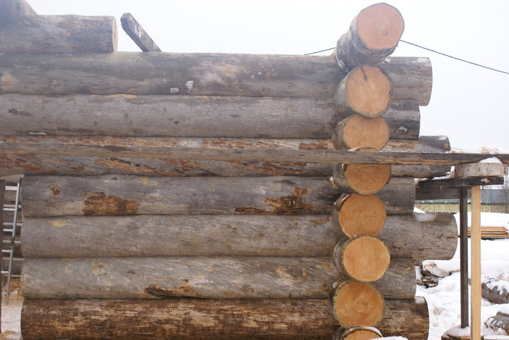 Дом из сосны kelo