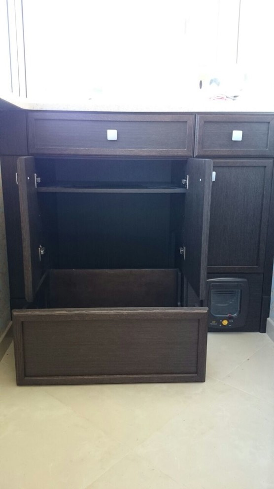 Любимый кот в классическом комоде