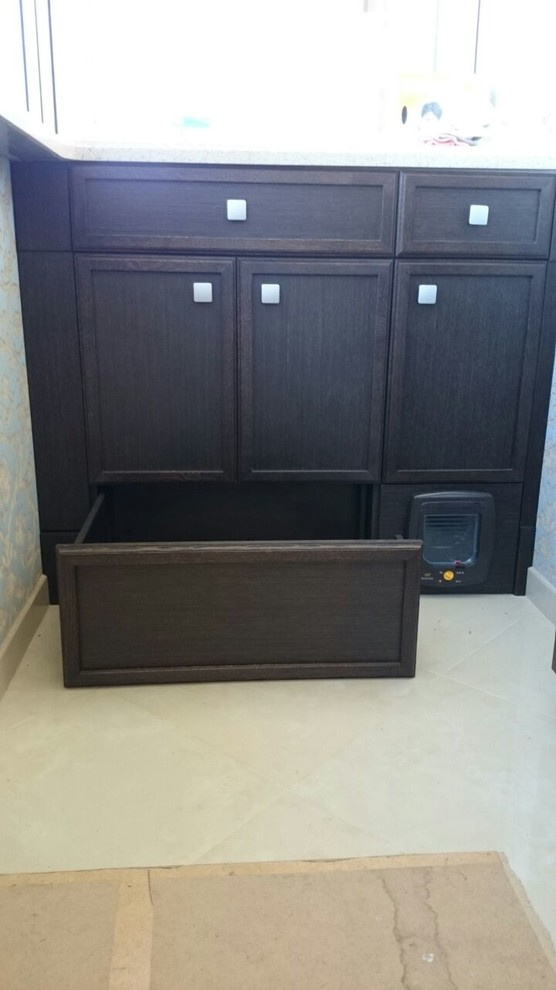 Любимый кот в классическом комоде