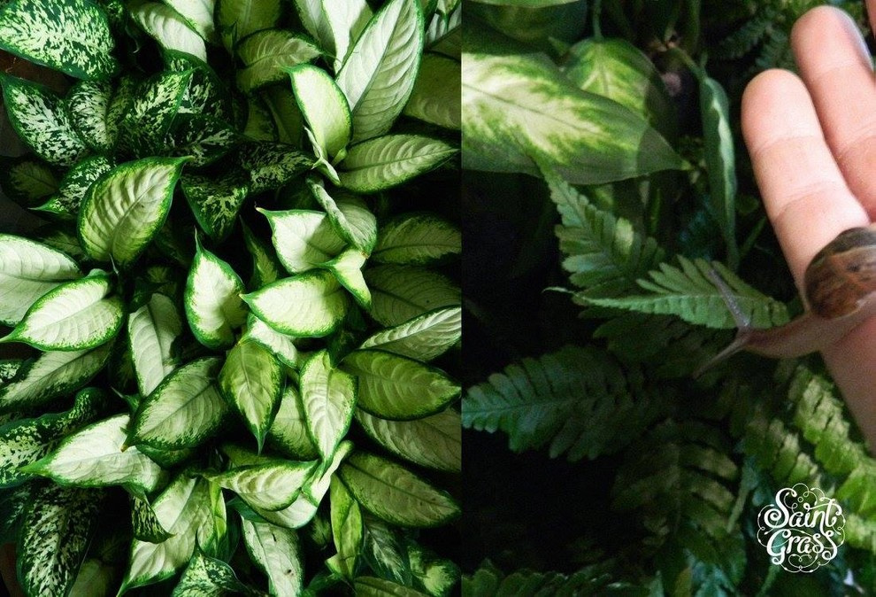 Частный интерьер г. Сочи