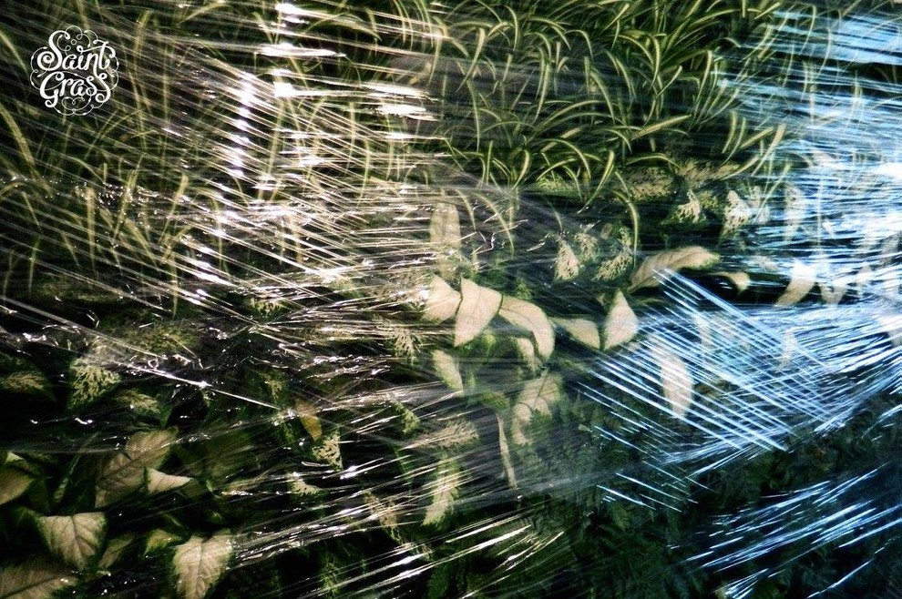 Частный интерьер г. Сочи