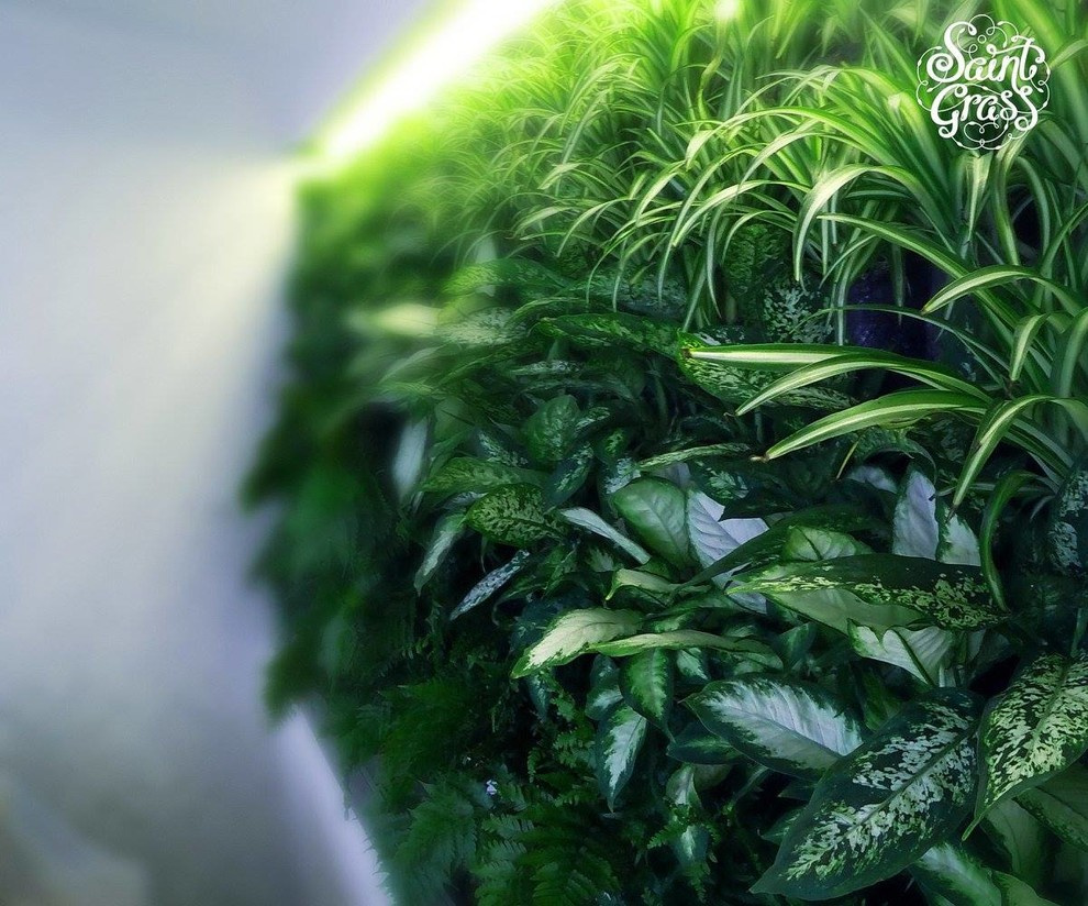 Частный интерьер г. Сочи