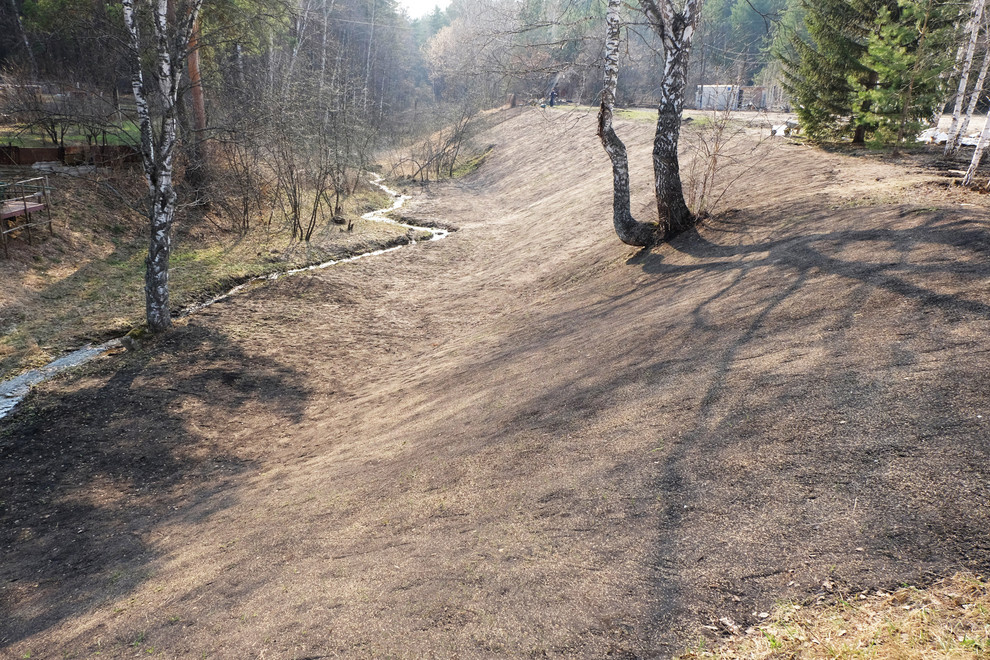 Посев газона 2016