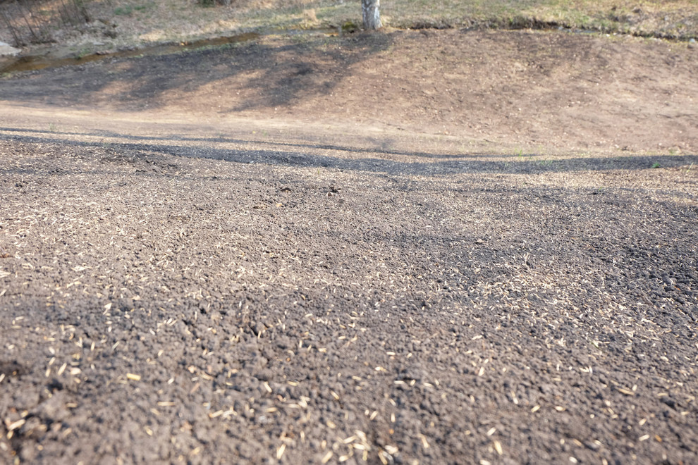 Посев газона 2016