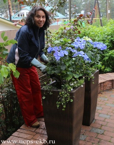 Школа ландшафтного дизайна